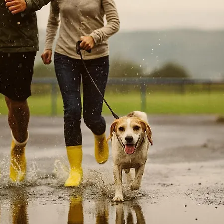 Bps #12 View - Neu - - Deluxe - Modern